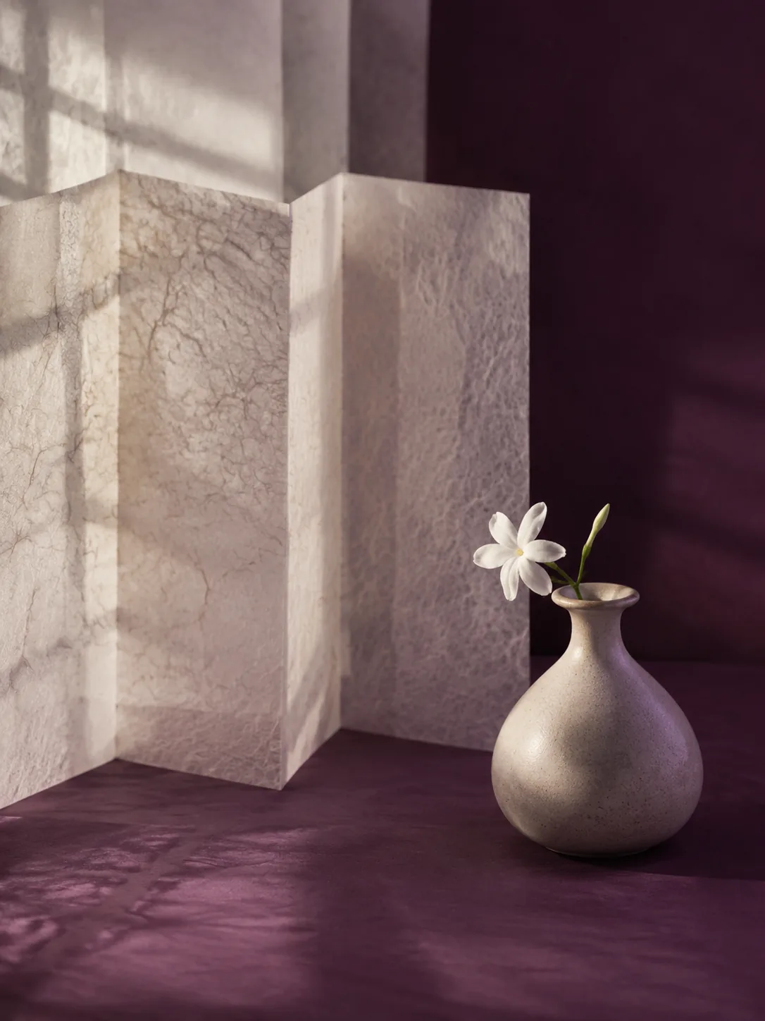A single jasmine flower beside a translucent privacy screen